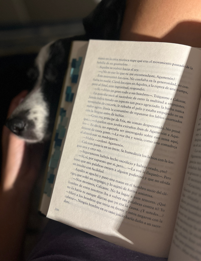 la cancion de aquiles madeline miller (11)